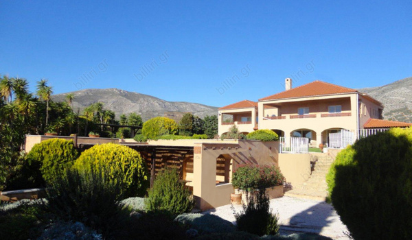 Εξωτερική όψη - Outdoor view